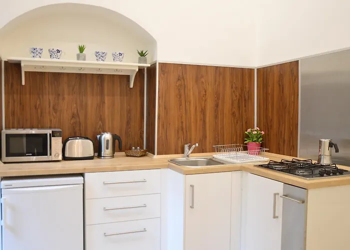 Friendly Apartment In Center